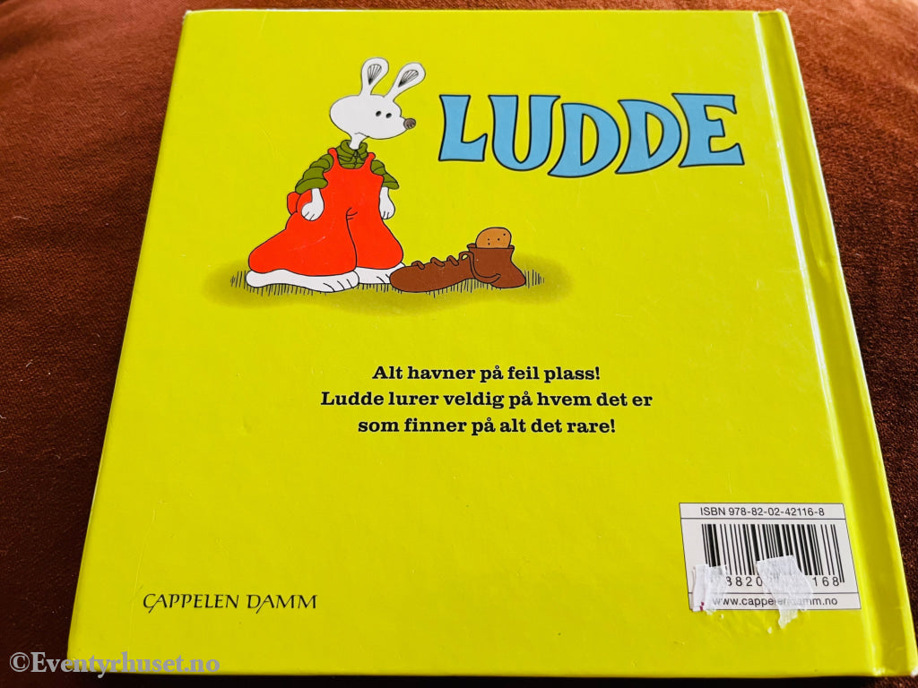 Ulf Löfgren. Ludde Og Noen. Fortelling