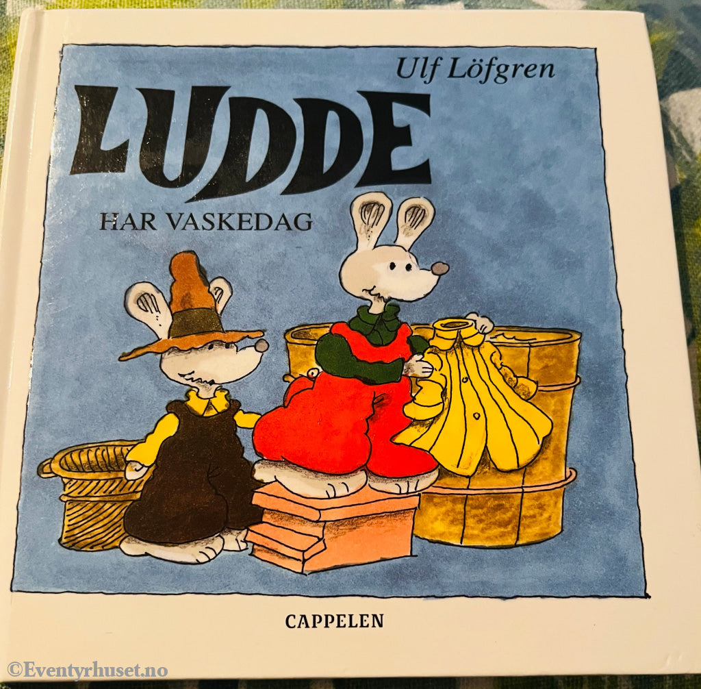 Ulf Lögren. Ludde har vaskedag.