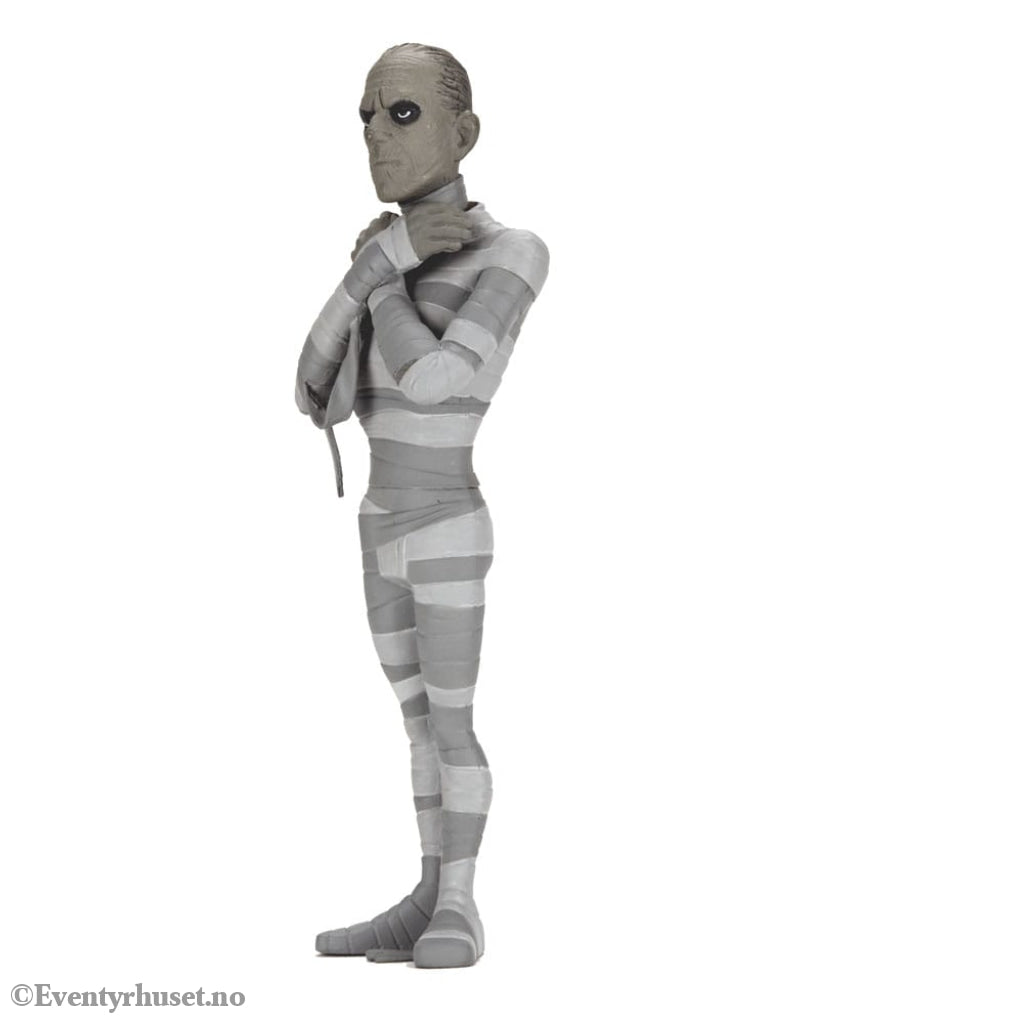 Universal Monsters Toony Terrors Action Figures 15 cm Series 10 Silver Screen Edition Assortment (12) Toys