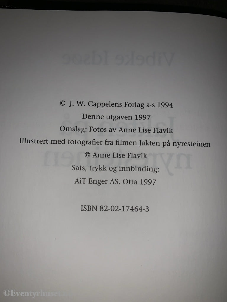 Vibeke Idsøe. 1994. Jakten På Nyresteinen. Fortelling