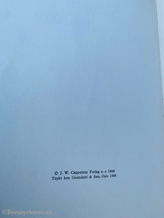 Vidar Sandbeck. 1968. Skatten På Jordbærøya. Fortelling