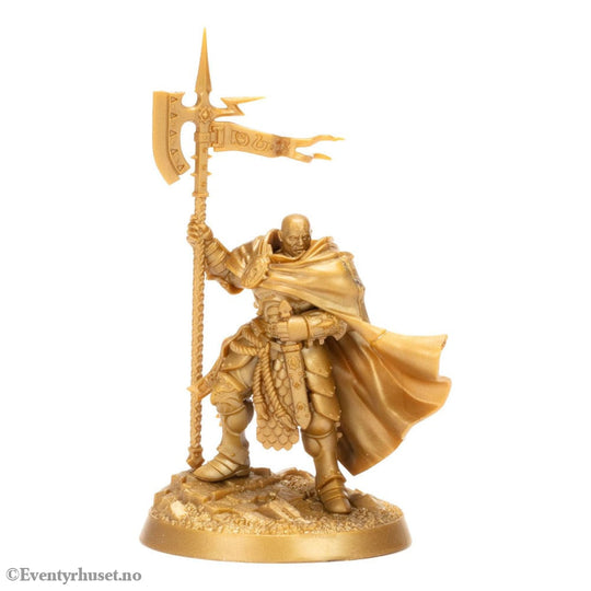 Warhammer Age of Sigmar Miniatures Warhammer Heroes: Stormcast Eternals Display (8) Games