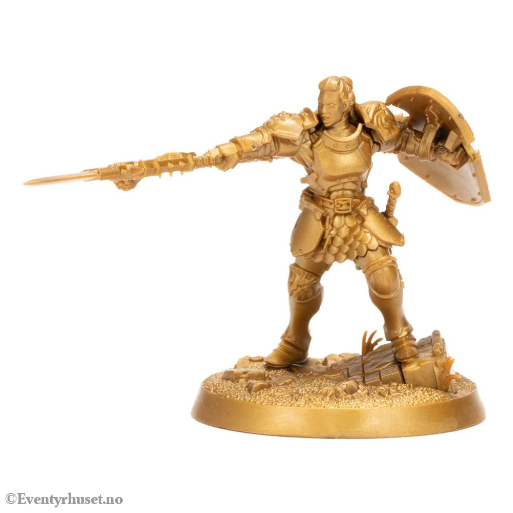 Warhammer Age of Sigmar Miniatures Warhammer Heroes: Stormcast Eternals Display (8) Games