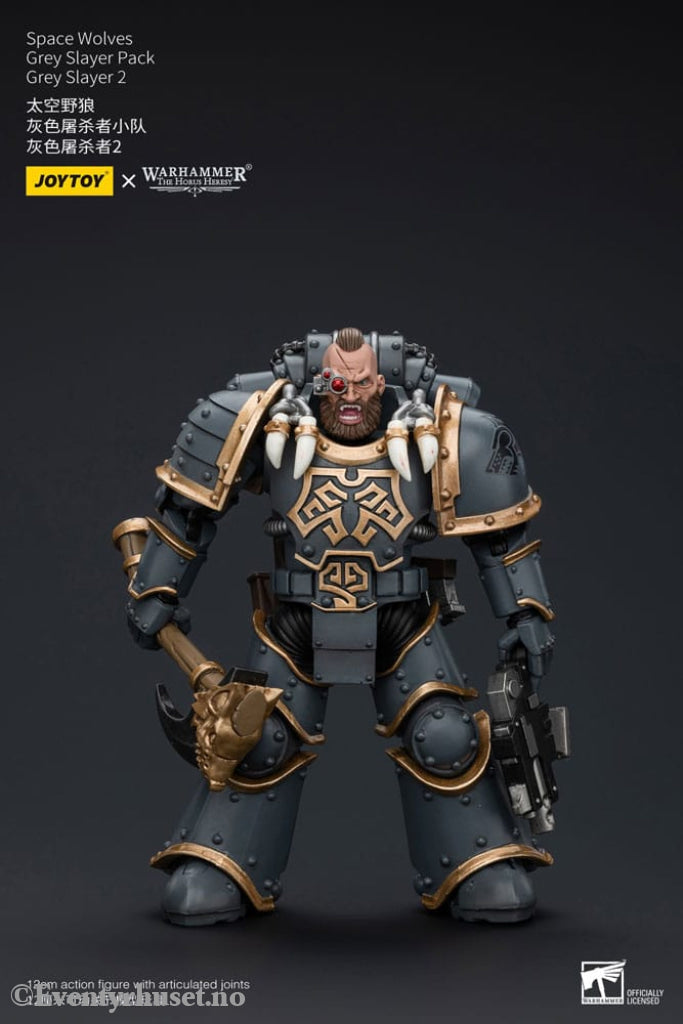 Warhammer The Horus Heresy Action Figure 1/18 Space Wolves Grey Slayer Pack Grey Slayer 2 12 cm Toys