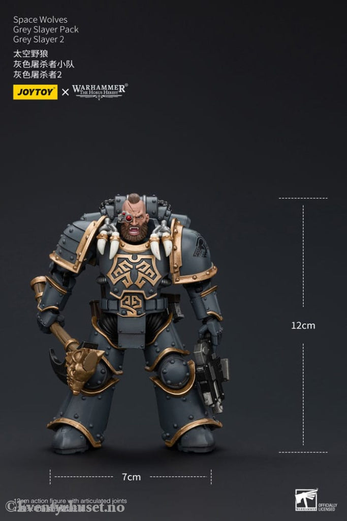 Warhammer The Horus Heresy Action Figure 1/18 Space Wolves Grey Slayer Pack Grey Slayer 2 12 cm Toys