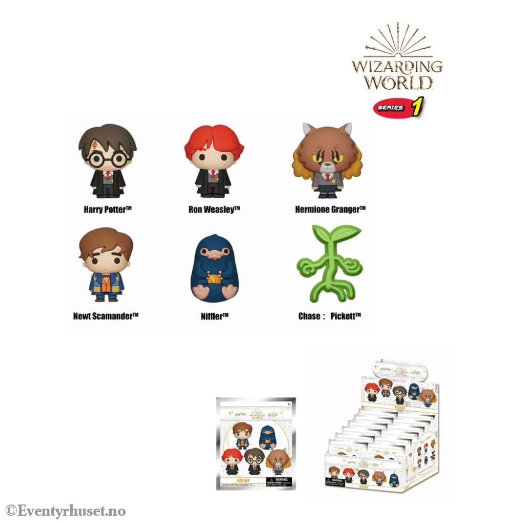 Wizarding World 3D Magnets Series 1 Display (12) Home & Gifts