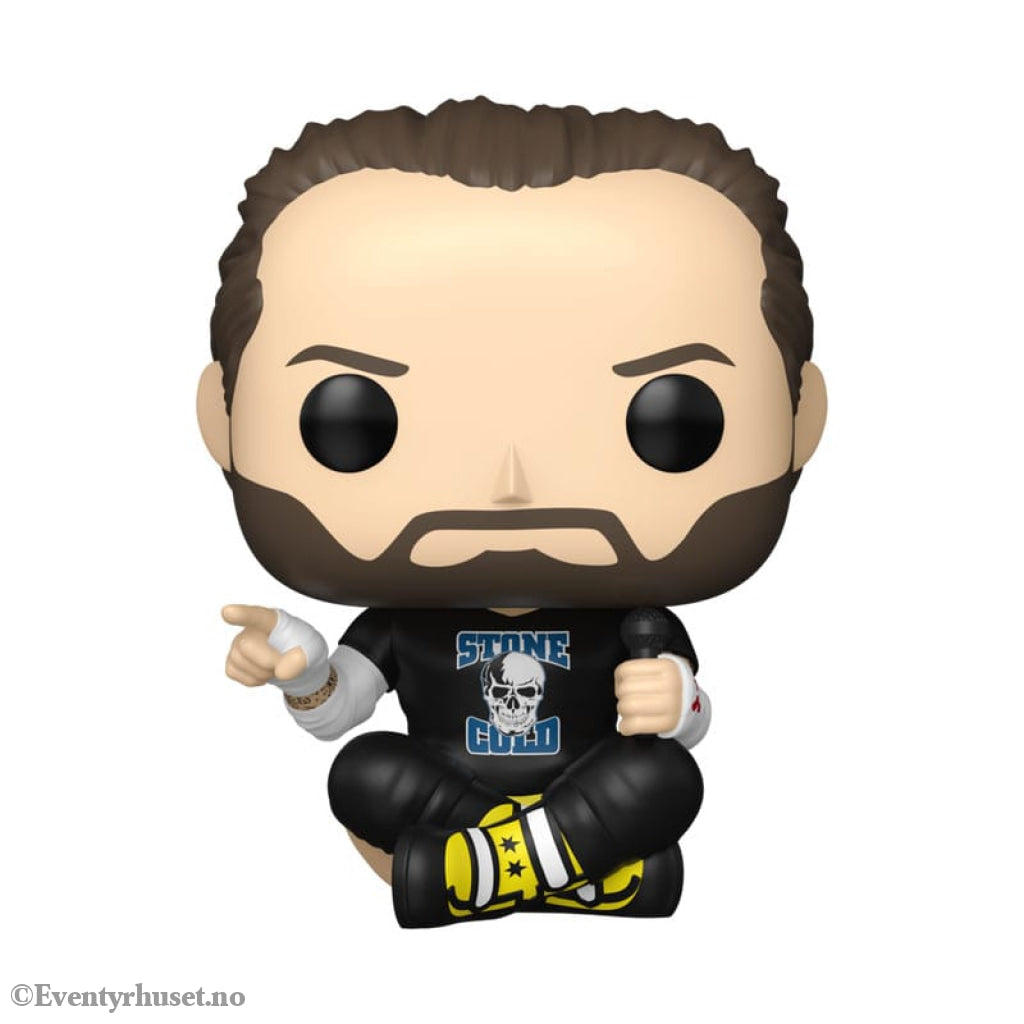WWE POP! Vinyl Figure CM Punk 9 cm Collectibles