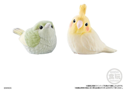 Mofu Mofu Tenori Friends Mini Figures Wave 3 Display (12)