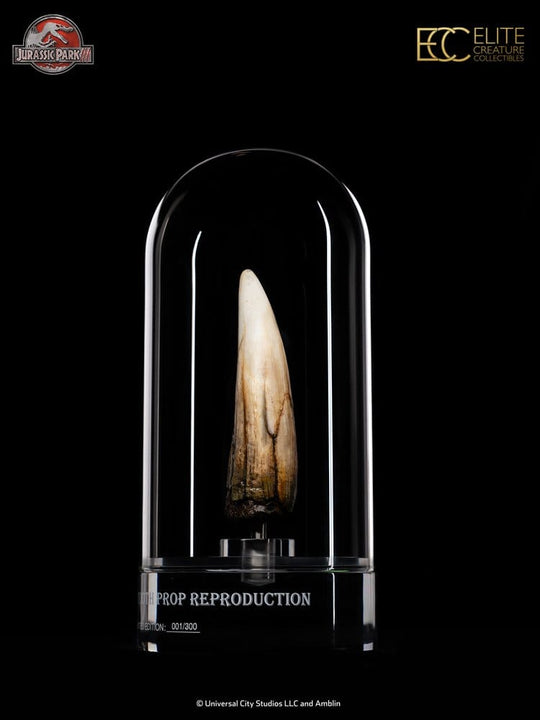 Jurassic Park III Prop Replica 1/1 Spinosaurus Tooth 14 cm