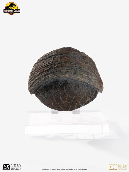 Jurassic Park 1/1 Replica Triceratops Toenail 16 cm