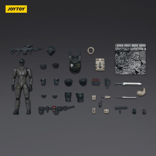 Dark Source Action Figure Steel Ride Corps Assaulter Echo 8 cm