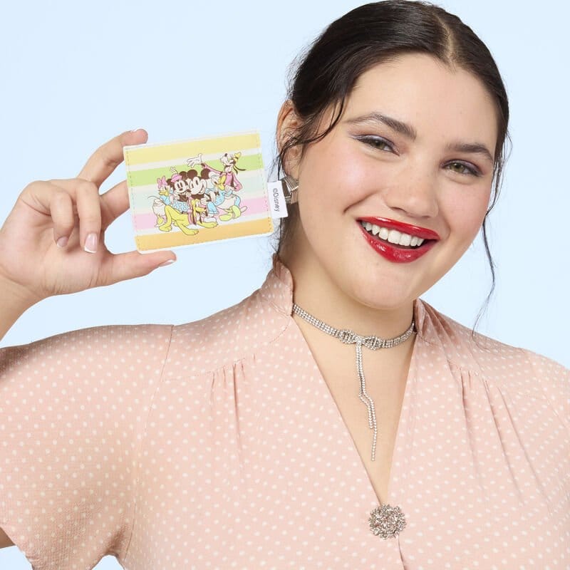 Disney by Loungefly Cardholder Mickey and Friends Rainbow Stripes