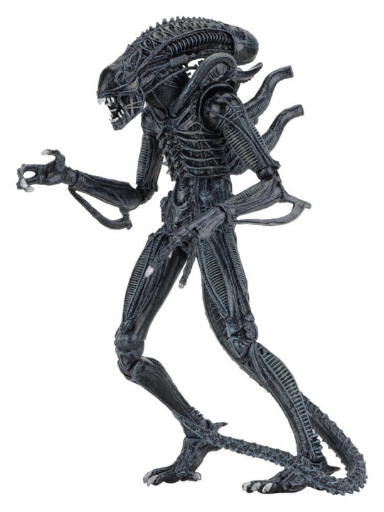 Aliens Ultimate Action Figure Warrior (1986) Blue 23 cm