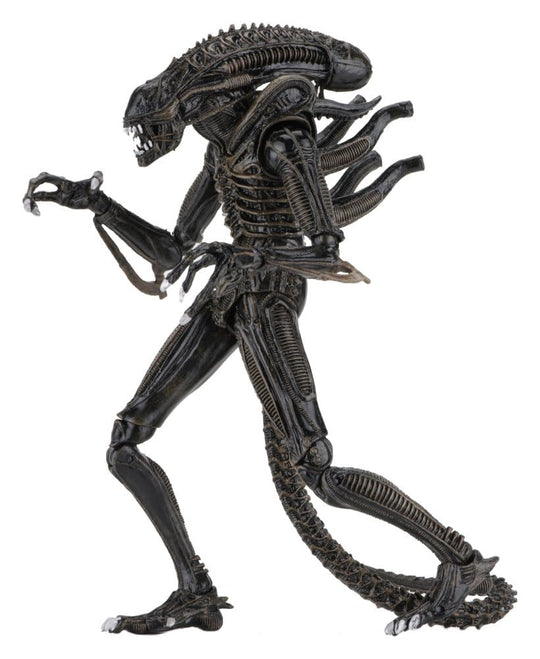 Aliens Ultimate Action Figure Warrior (1986) Brown 23 cm
