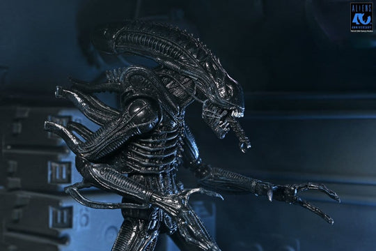 Aliens Ultimate Action Figure Warrior (1986) Xenomorph Black (40th Anniversary) 23 cm