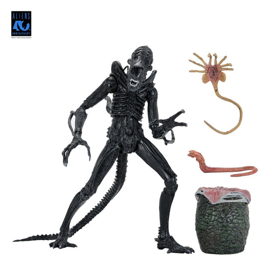Aliens Ultimate Action Figure Warrior (1986) Xenomorph Black (40th Anniversary) 23 cm