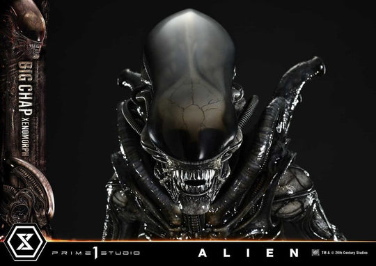 Alien Museum Masterline XL Statue 1/3 Big Chap Xenomorph Regular Ver. Bonus Version 100 cm