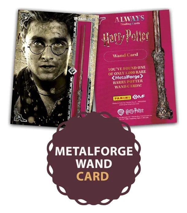 Harry Potter Premium Treasure Box