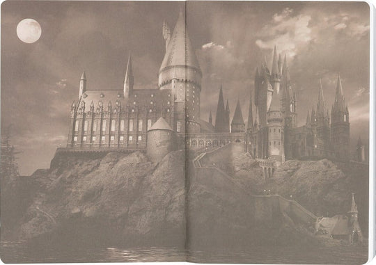 Harry Potter Softcover Notebook Gryffindor 21 cm