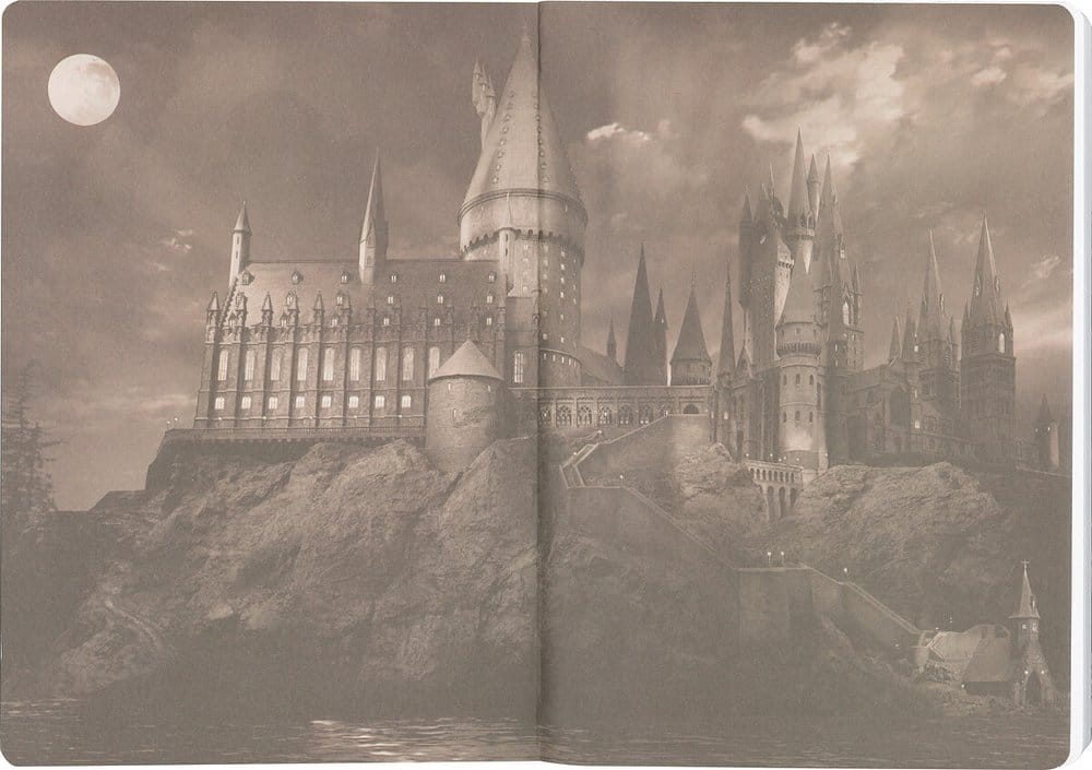 Harry Potter Softcover Notebook Ravenclaw 21 cm
