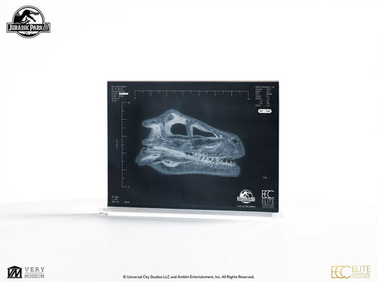 Jurassic Park III Prop Replica 1/1 Velociraptor Resonance Chamber 18 cm