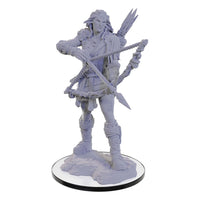 Pathfinder Deep Cuts Unpainted Miniature Wood Giant