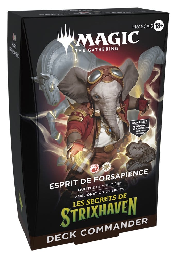 Magic the Gathering Les secrets de Strixhaven Commander Decks Case (5) french