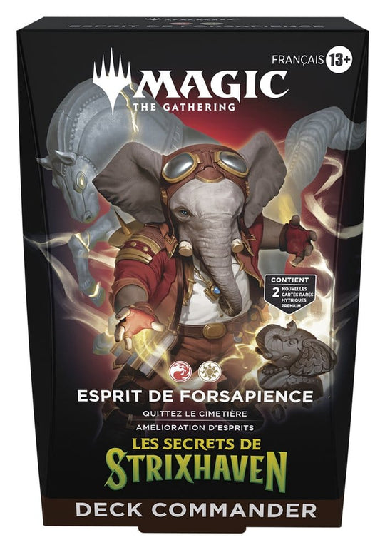 Magic the Gathering Les secrets de Strixhaven Commander Decks Case (5) french