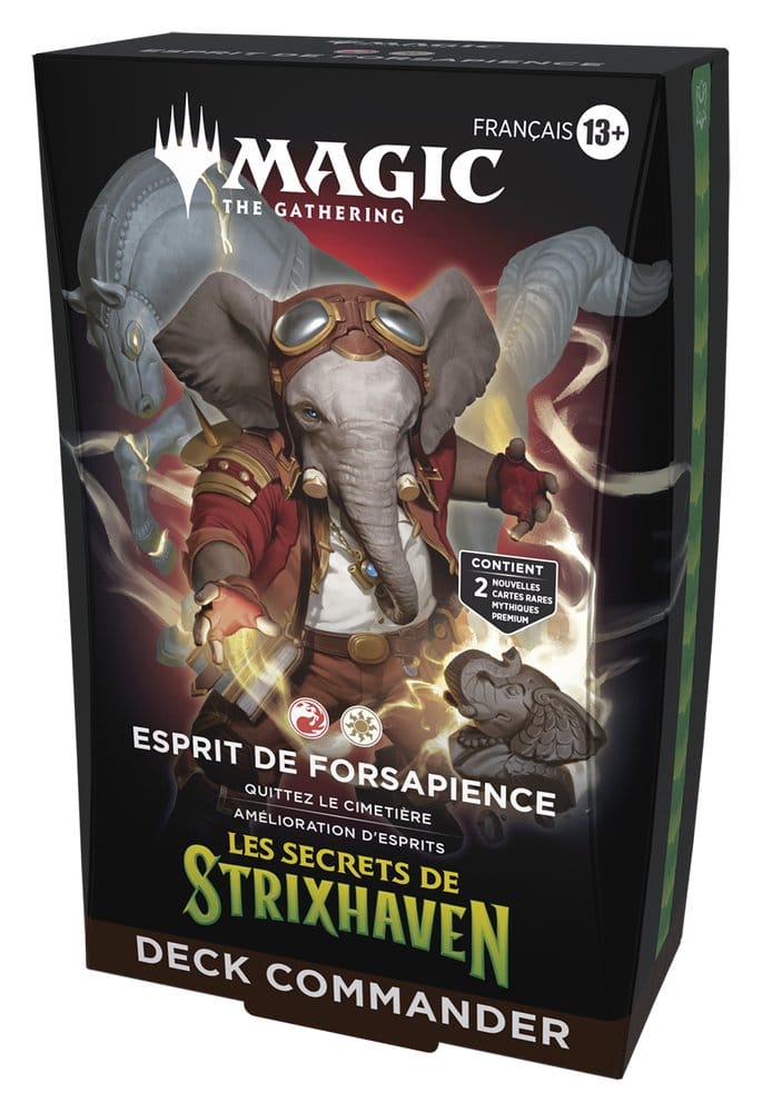 Magic the Gathering Les secrets de Strixhaven Commander Decks Case (5) french