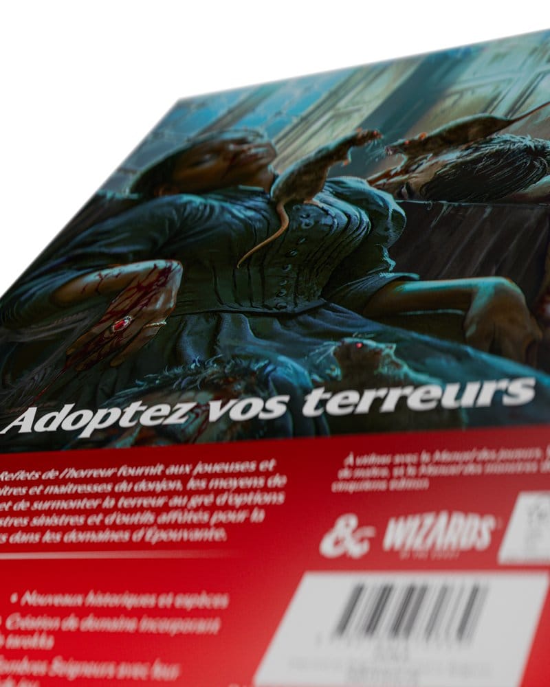Dungeons & Dragons RPG Ravenloft: Les Reflets de l'Horreur Book *French Version*